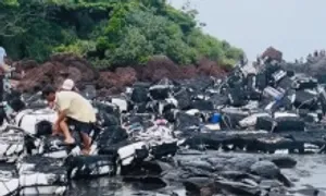 Hàng trăm bè nuôi hàu chưa rõ nguồn gốc dạt vào bờ biển